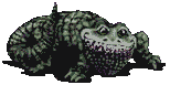 alligator-image-animee-0010