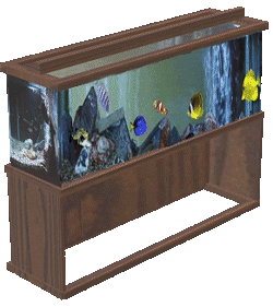 aquarium-et-bocal-a-poissons-image-animee-0001