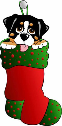 bouvier-bernois-image-animee-0066